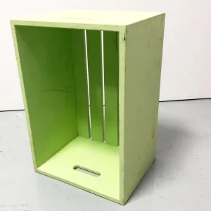 Crate light green 24 x 16 x 14