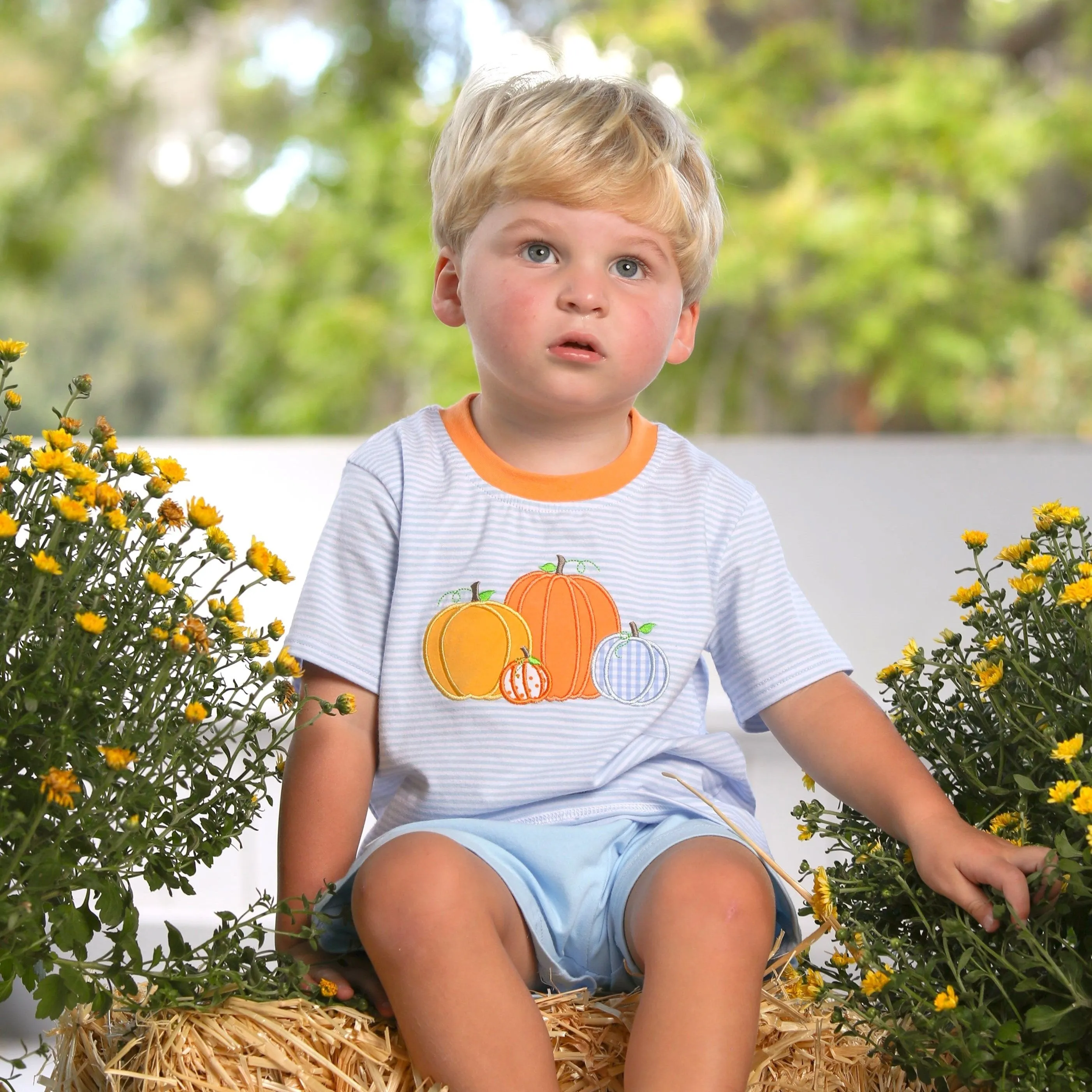 Pumpkin Patch Shirt