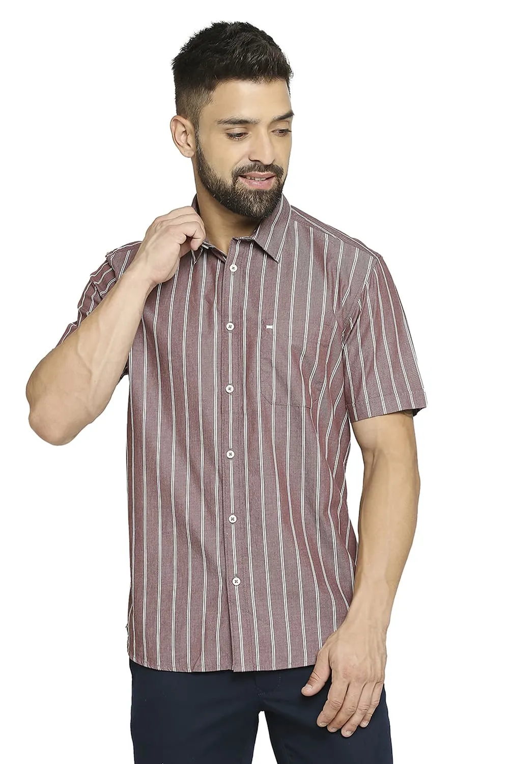 Slim Fit Cotton Cavalry Twill Stripe Halfsleeves Shirt