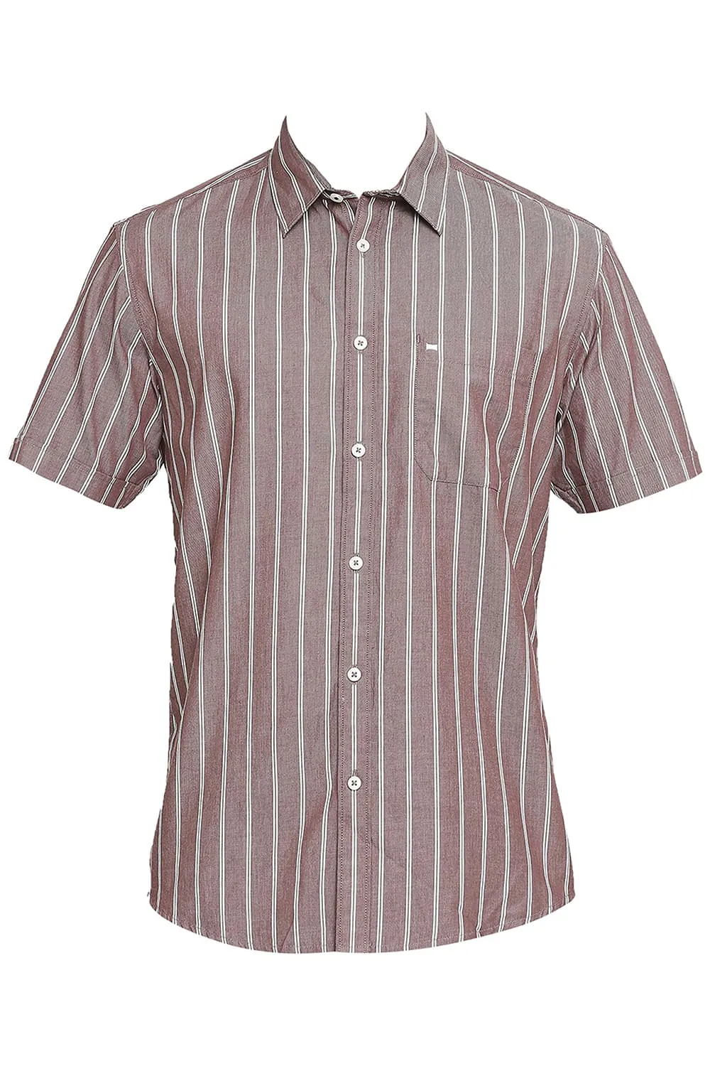 Slim Fit Cotton Cavalry Twill Stripe Halfsleeves Shirt